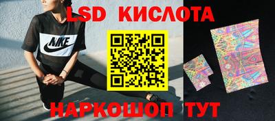 спайс Гай