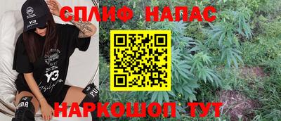 спайс Гай