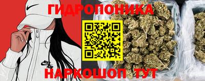 спайс Гай