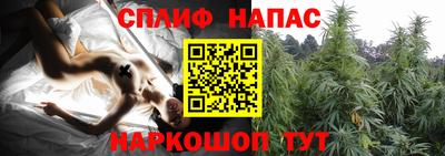 дмт Гагарин